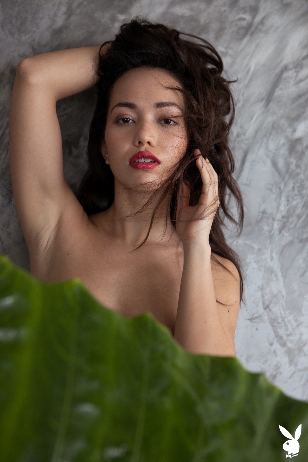 playboyplus.com