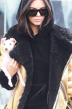 Glamour model Kendall Jenner